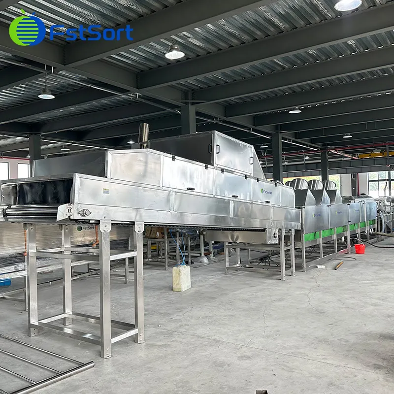 Fruit and vegetable cleaning and air drying machine