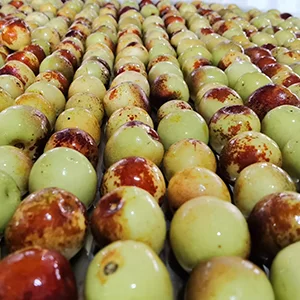 Efficient Techniques for Quickly Sorting Dates