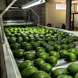 Zero-Tariff Policy Boosts Demand for Post-Harvest Equipment