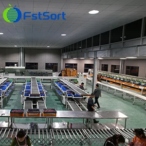Chengdu Xinhongyang Agriculture Co., Ltd-FstSort four lane processing lines are more efficient and labor saving