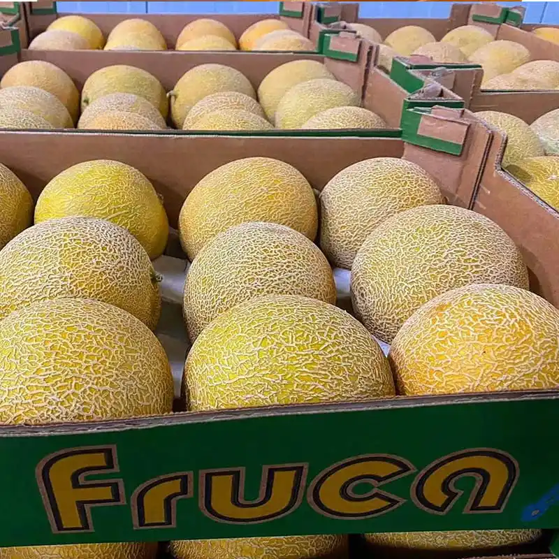 Honduran fresh melons have officially entered China