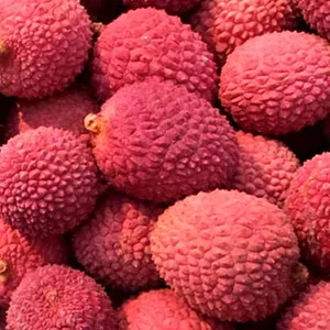 China litchi production decreased, packaging plants to strengthen fruit quality