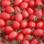 Delicious Cherry tomato in China