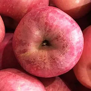 Russia officially resumes imports of pome crops from China