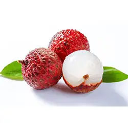 lychee and its processing line in Thailand