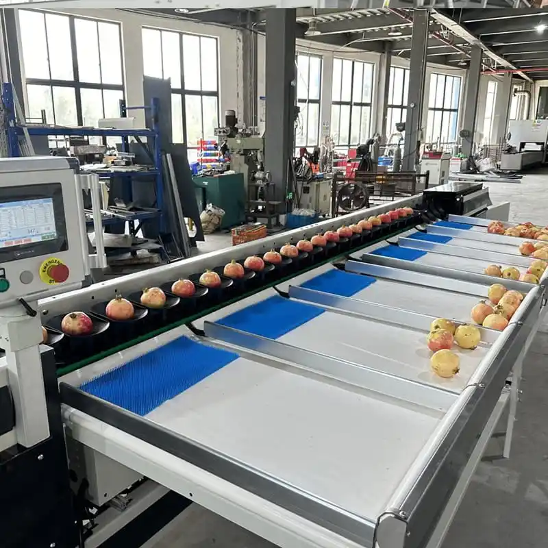 Pomegranate Grading Packing Machine