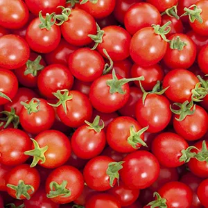 Cherry Tomatoes Cleaning and Grading Machine