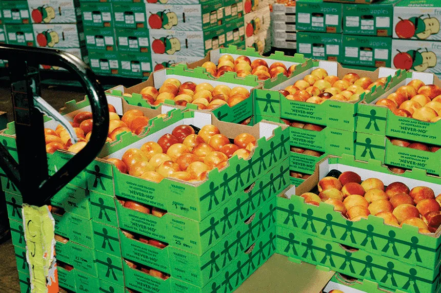 How to improve product competitiveness among numerous fruit exporters