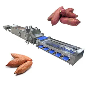 Sweet potato packing line in Europe