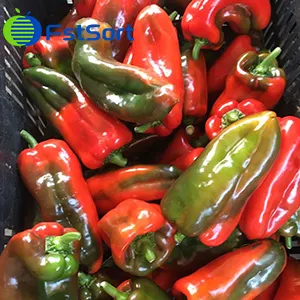 ¿Cómo clasificar los pimientos