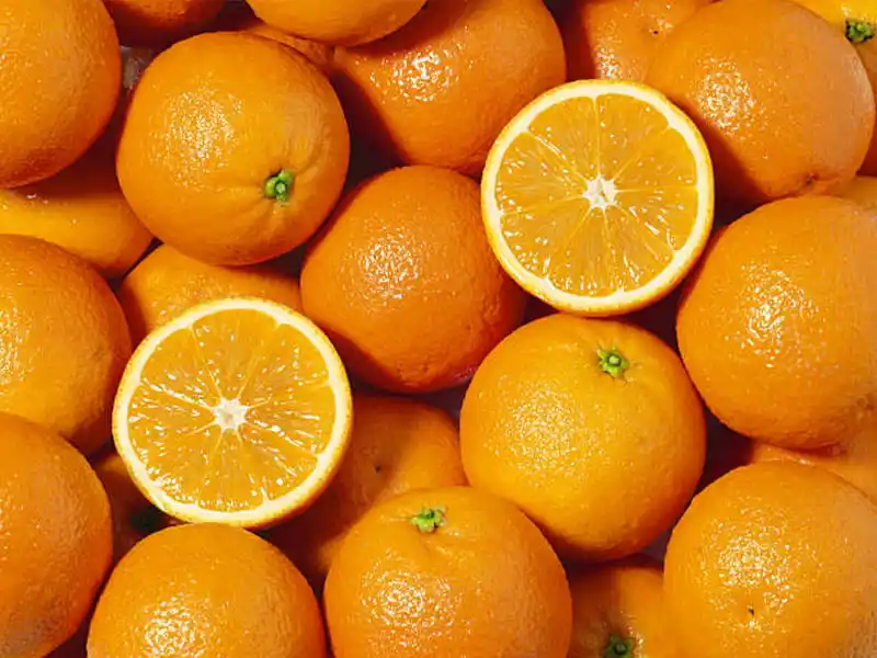 Egypt's citrus exports exceeded 2 million tons for the first time