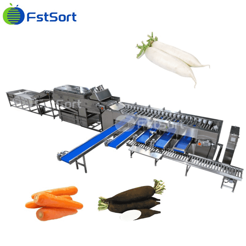 Beetroot Sorting Machine | FstSort