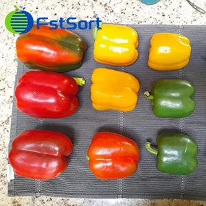 More people sort vegetables with a machine