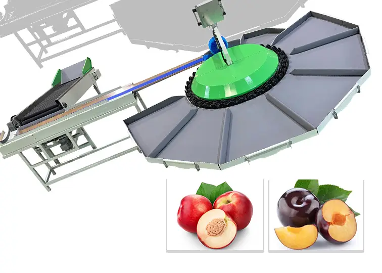 Peach Sorting Machine | Electronic Weight Sorter – Rotary or Linear with Soft Padding - FstSort