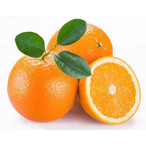 The Citrus Washing Inspecting Grading Line Will Be Shipped to New Caledonia