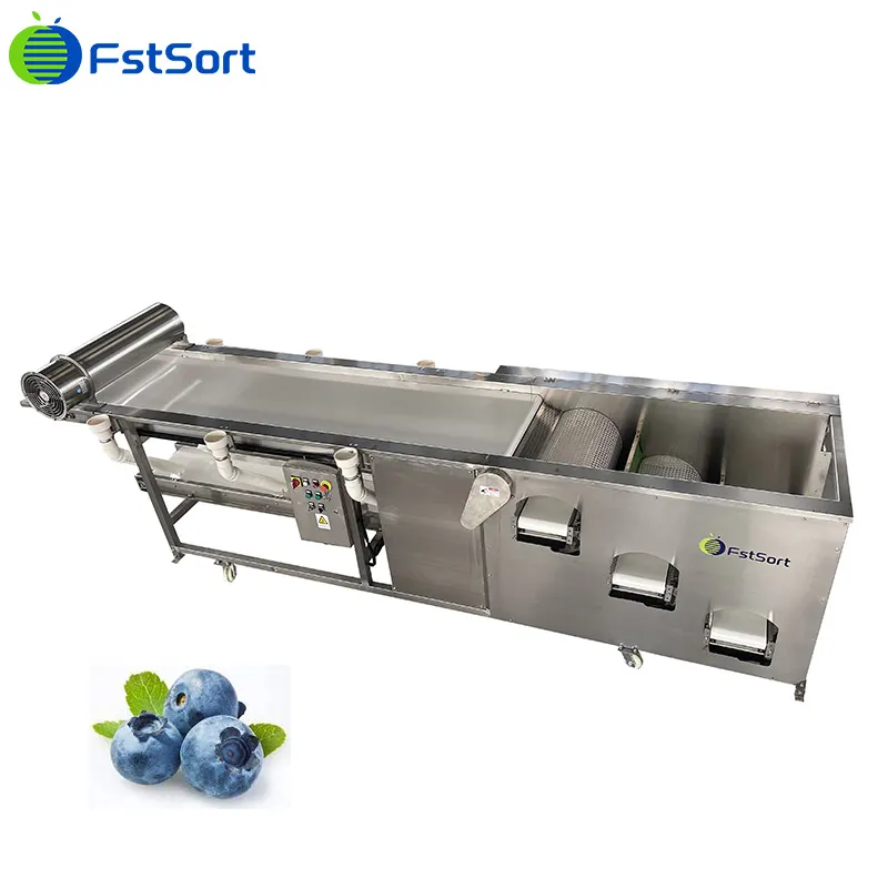 British customers' questions about the blueberry grader