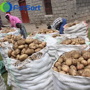 Adjustable Potato Grader That Can Be Customized For Nigerian Potatoes