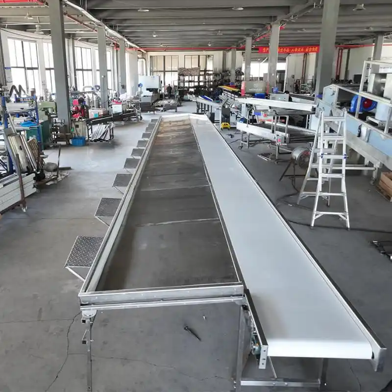 Uvas peruanas: Las exportaciones crecerán un 25 por ciento en la nueva temporada de producción, con China como mercado clave