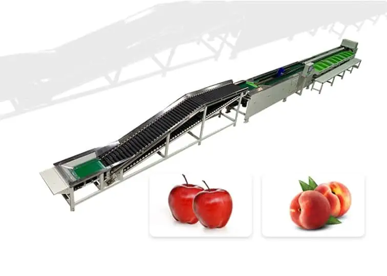 Automatic apple weight sorting machine with soft padding