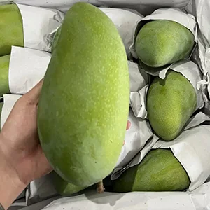 More and more people are willing to pay for good mangoes