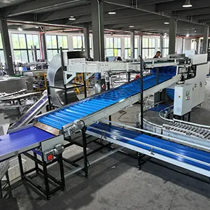 The latest automatic crate tipping machine