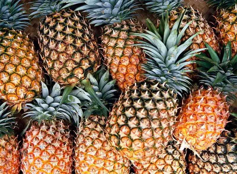 FstSort pineapple weight sorting machine: an efficient weight sorting tool for the pineapple industry