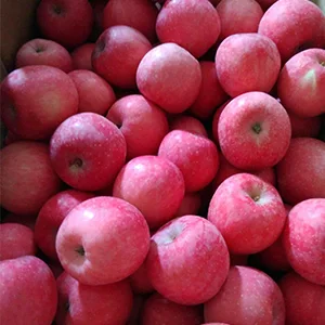 How To Choose Suitable Apple Sorting Machine