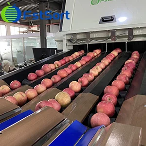 Los equipos de clasificación aceleran la disponibilidad de frutas