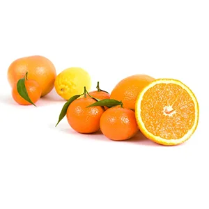 Overview of Citrus fruit exports from South Africa in 2020