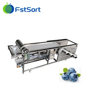 The Market of Blueberries