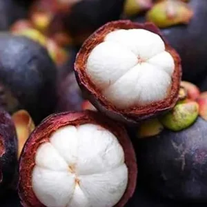 Thailand's mangosteen exports increase