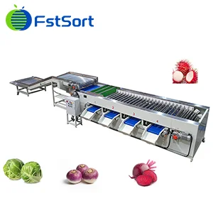 Rambutan Grading Machine