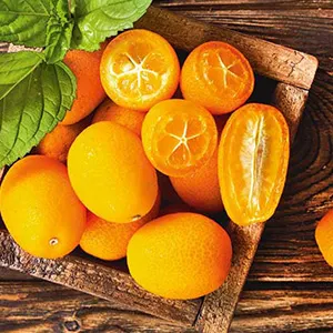 Kumquat cleaning drying and grading machine