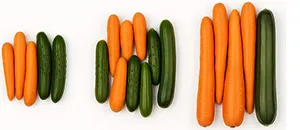 ​​FstSort Custom-made Machine Solves Sorting Challenge for Romania