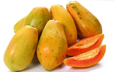 Papaya Washing and Sorting Machine