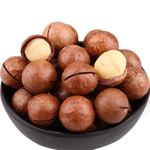 Loading of macadamia sorting machine