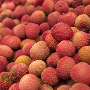 From Orchard to Market: Ensuring Litchi Quality with Automated Cleaning and Grading