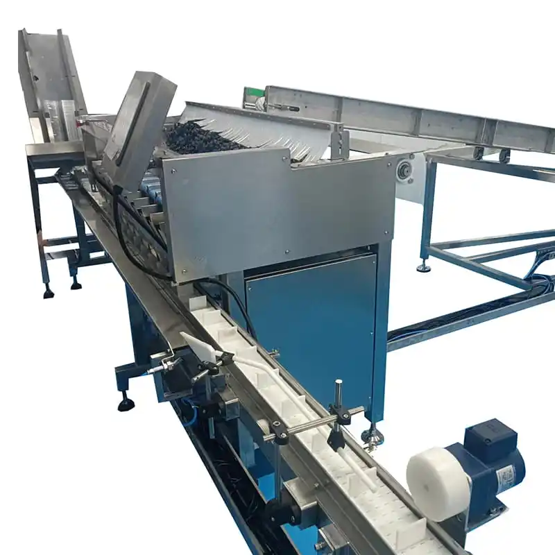 ¡Impulsa tu producción de arándanos con la Nueva Envasadora FstSort: Eficiencia y Personalización para Latinoamérica!