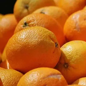 USDA Annual Citrus Report
