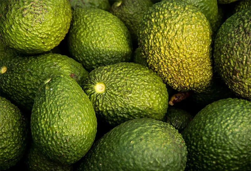 ¡Los precios del aguacate peruano han vuelto a aumentar!