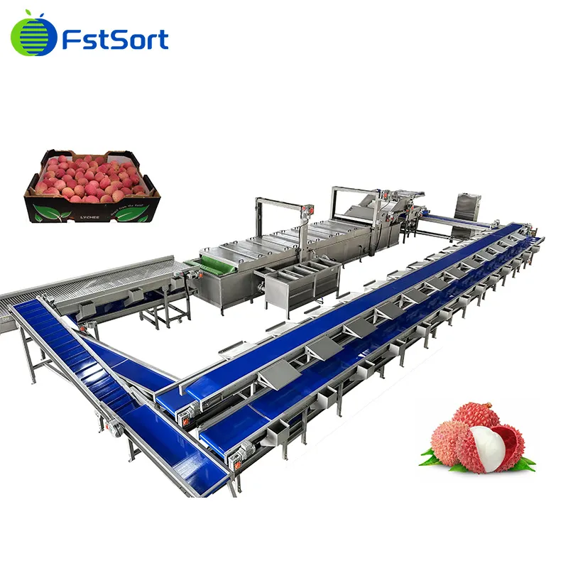 ¡Se acerca la temporada de cosecha de lichi!