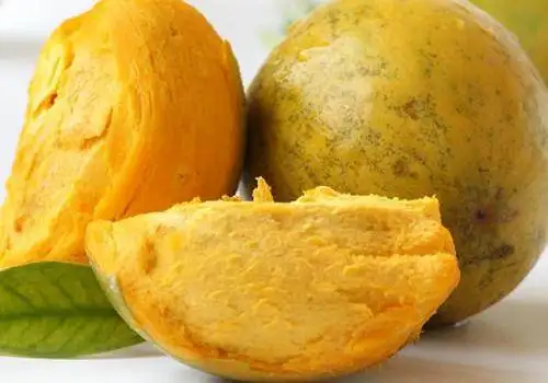 Lucuma fruit sorting machine