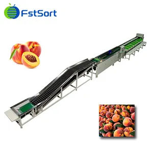High Quality FstSort Peach Sorting Grader