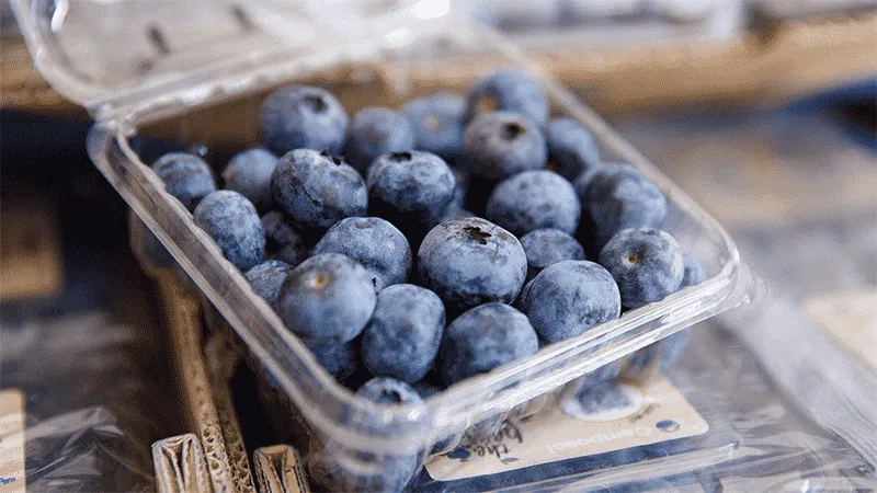 Domestic blueberry prices halved, supply increased by eighty percent year-on-year