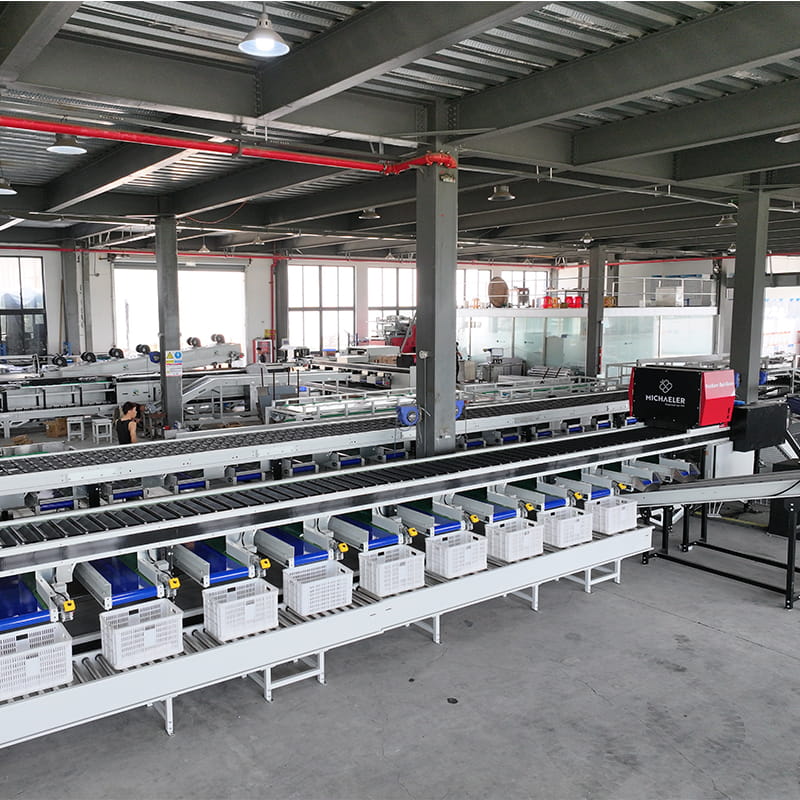 FstSort sweet potato optical sorting machine，sweet potato processing industry，FstSort sweet potato optical grader，sweet potato color grading equipment