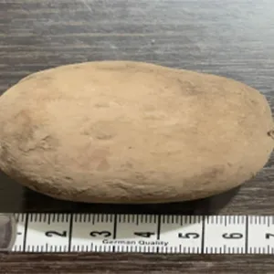 Ensuring Perfect Potatoes: How the Roller Grader Delivers Precise Sizing