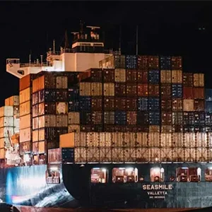 New Zealand Envy apples are shipped to China and Southeast Asia