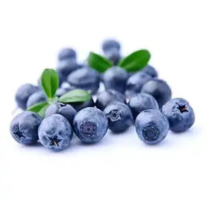The first batch of American blueberries landed in China this season