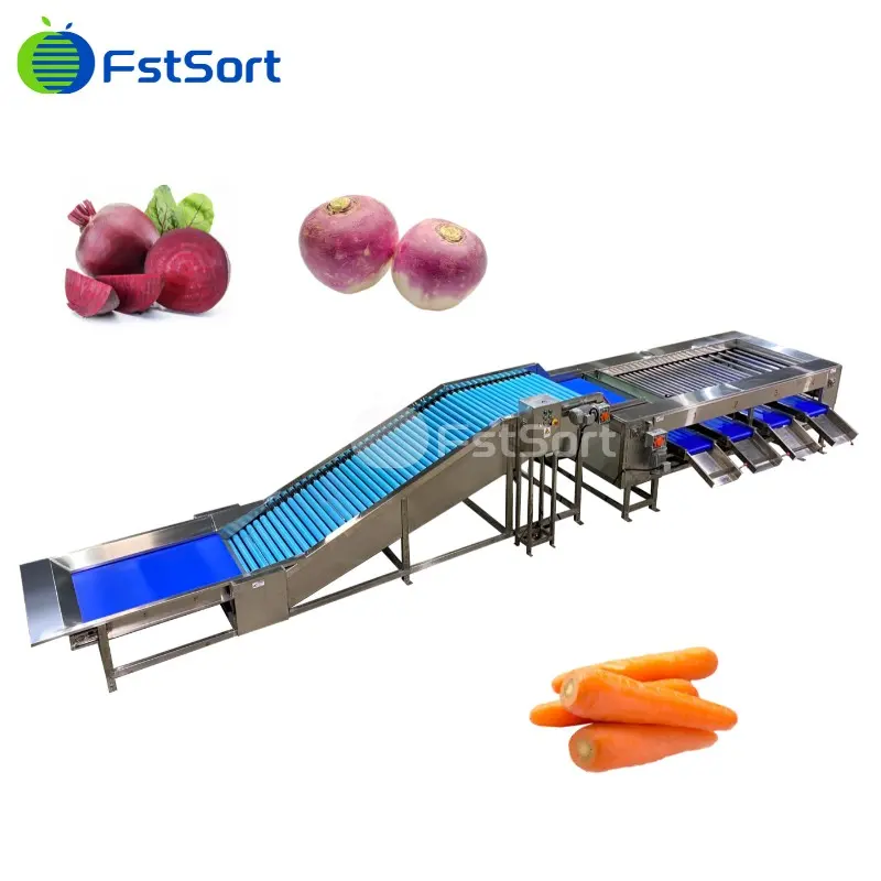 Efficient, Carrot Washing Grader