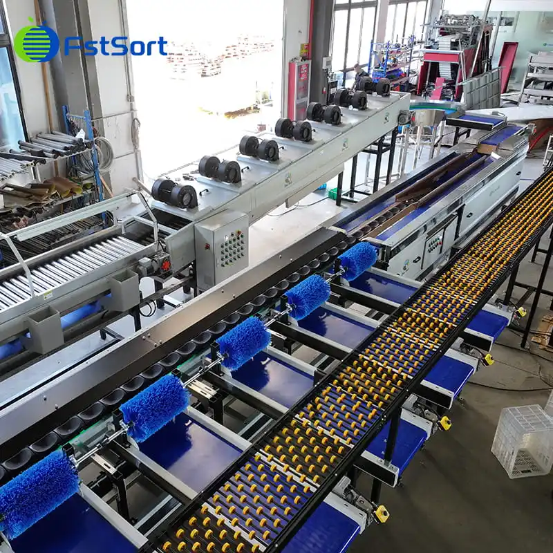 Nuevo logro: otra máquina clasificadora de pitahayas